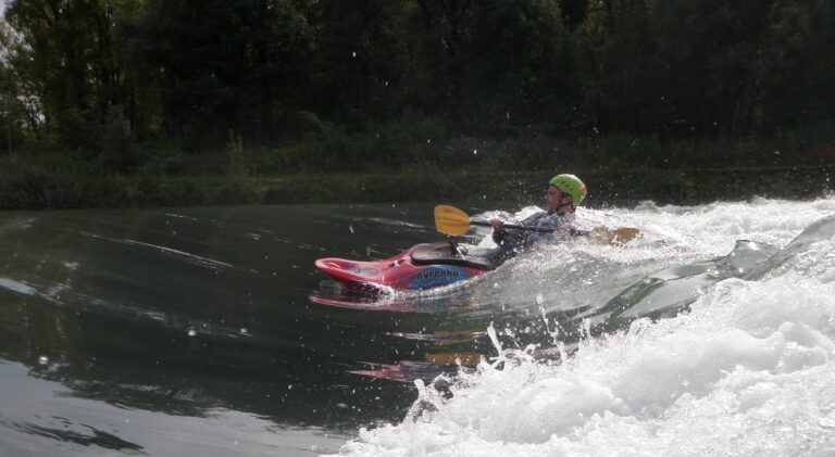 Journée à l’Isle de la Serre – 6 Octobre 2012