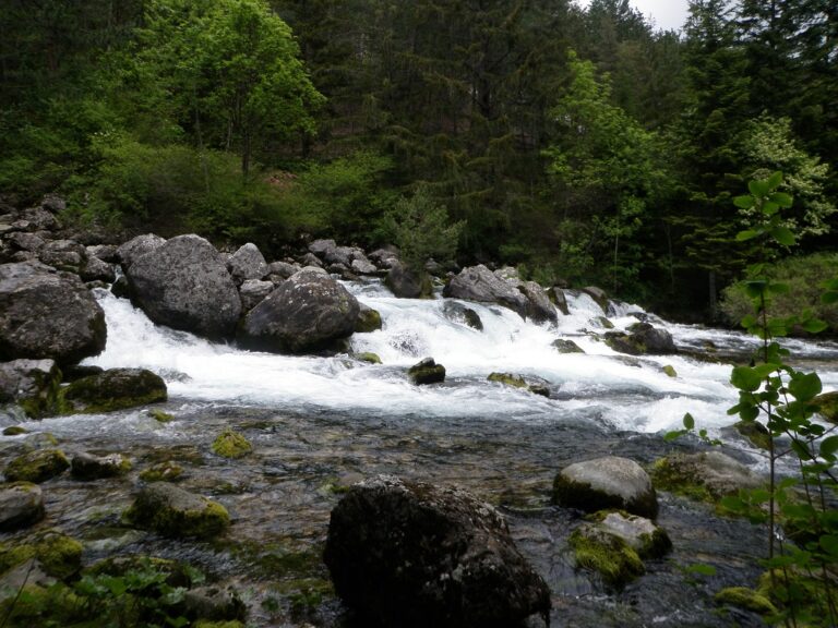 Rassemblement sur la Souloise – 1 et 2 Juin 2013